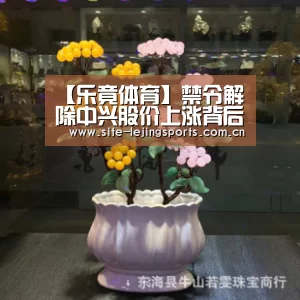 乐竟体育官网